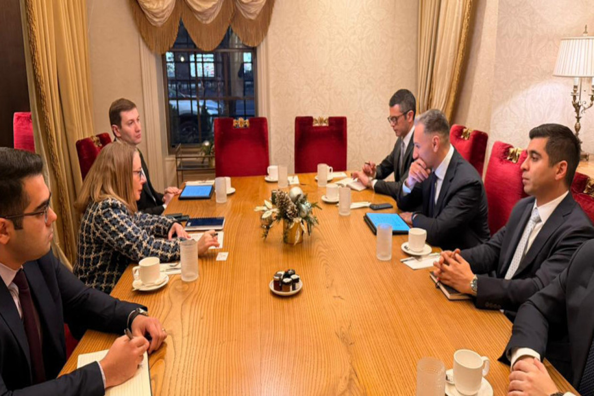 Azərbaycan süni intellekt sahəsində ABŞ şirkəti ilə əməkdaşlıq edə bilər