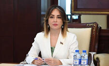 Deputat: Ailəni qorumaq özümüzü qorumaq deməkdir