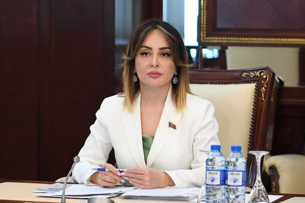 Deputat: Ailəni qorumaq özümüzü qorumaq deməkdir