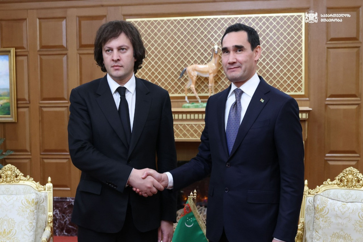 Gürcüstan və Türkmənistan Orta Dəhlizlə bağlı əməkdaşlığı müzakirə edib