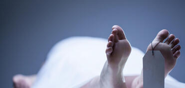 Ölkədə ölüm sayı dəyişməyib