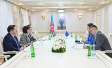 Sahibə Qafarova Misirin ölkəmizdəki səfiri ilə görüşüb - FOTO