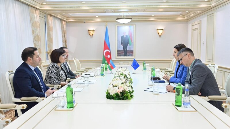 Sahibə Qafarova Misirin ölkəmizdəki səfiri ilə görüşüb - FOTO