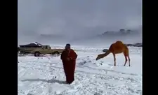 Səudiyyə Ərəbistanında qar yağıb