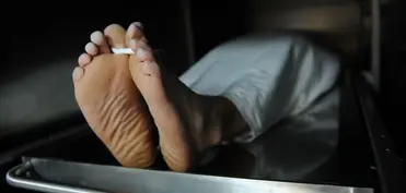 Harvard Universitetinin morqunda qalmaqal