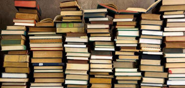 Mədəniyyət Nazirliyinin satın aldığı kitabların tam siyahısı açıqlanıb