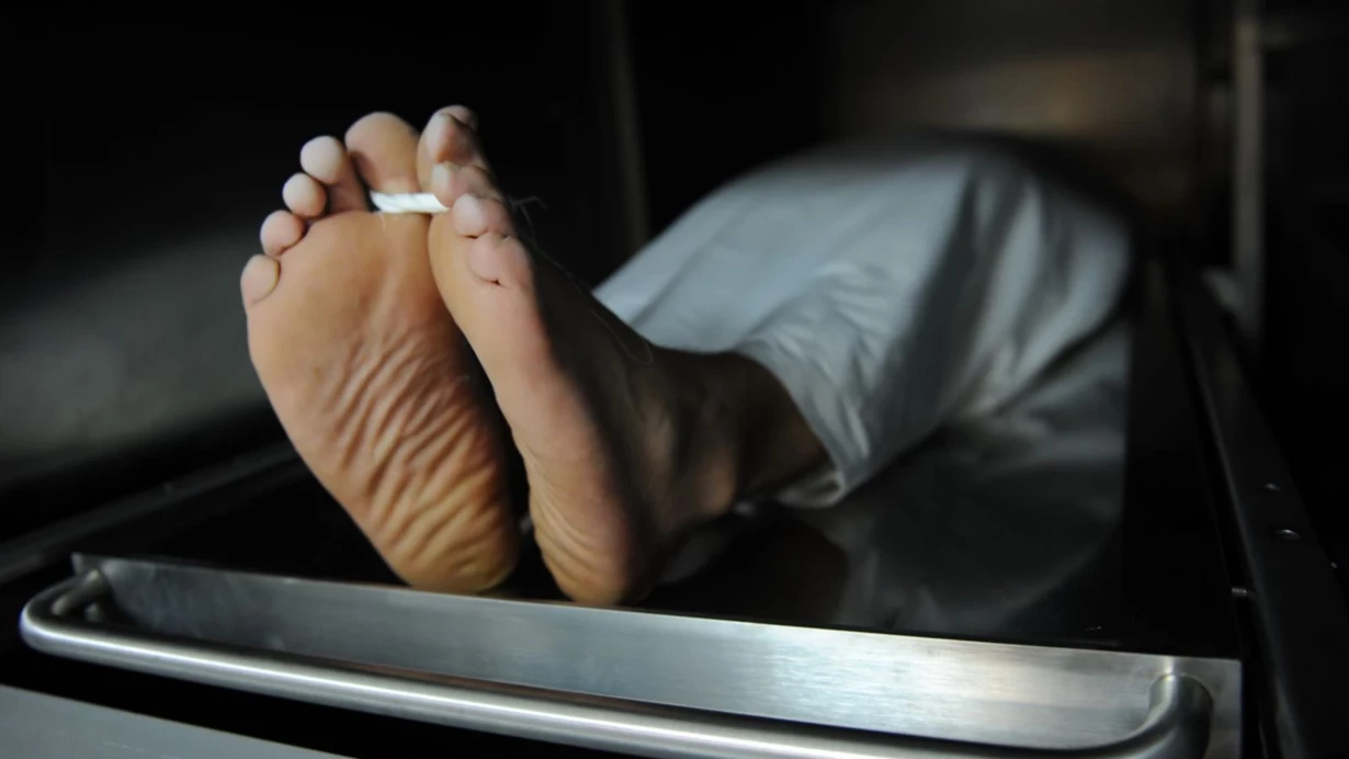 Harvard Universitetinin morqunda qalmaqal