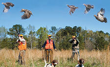 Azərbaycanda ov mövsümü açılır