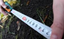 Azərbaycanda növbəti torpaq hərracları keçiriləcək