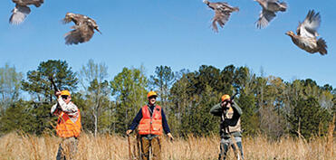 Azərbaycanda ov mövsümü açılır