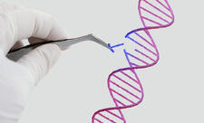 İnsanın klonu patent obyekt kimi qəbul edilməyəcək