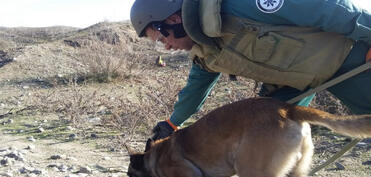 Heyvanlar aləmindən istifadə növləri sırasına minatəmizləmə də daxil edilir