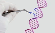 İnsanın klonu patent obyekt kimi qəbul edilməyəcək