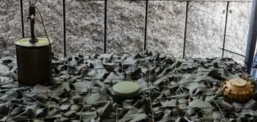 Litva Ottava Konvensiyasından çıxıb