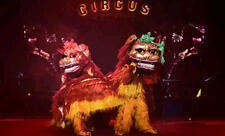 Çin sirk truppasının rəhbəri: Nömrələri xüsusi olaraq azərbaycanlı tamaşaçılar üçün hazırlamışıq