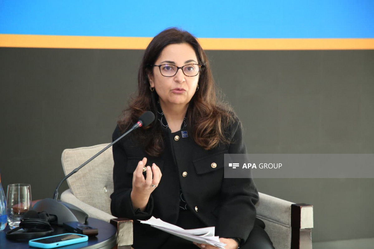 ADB növbəti 5 ildə Azərbaycanda yaşıl keçid və infrastruktur üzrə iri investisiyalar planlaşdırır