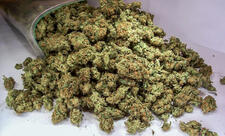 Bakıda 29 kq marixuana aşkarlanıb