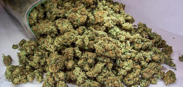 Bakıda 29 kq marixuana aşkarlanıb