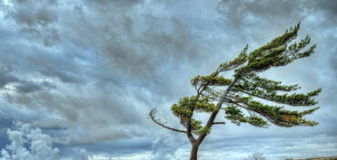Əksər yerlərdə yağıntılı və küləkli hava davam edir - FAKTİKİ HAVA
