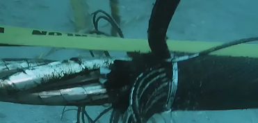 Baltik dənizində Litva ilə Latviya arasında optik kabel zədələnib