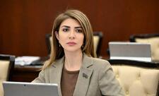 “Cənab Prezidentin Bayden administrasiyasına tənqidi fikirləri tam əsaslı yanaşmadır”