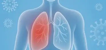 SN: Mövsümi virus infeksiyalarının artması pnevmoniya riskini yüksəldir