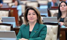 “2025 Azərbaycanın xarici siyasətində tarixi dönüş oldu”