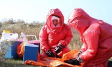 Azərbaycanda quş qripinə yoluxma aşkarlanmayıb