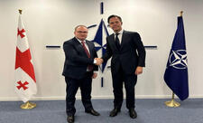 Gürcüstan-NATO əməkdaşlığı müzakirə olunub