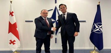 Gürcüstan-NATO əməkdaşlığı müzakirə olunub