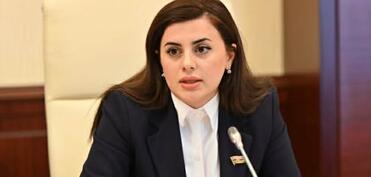 “Yaşıl enerjinin ötürülməsi üzrə 4 dəhliz üzərində iş aparılır”