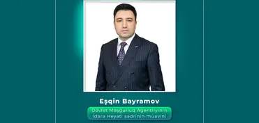 Dövlət Məşğulluq Agentliyinə yeni sədr müavini təyin edilib