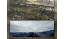 Xocalıda yanğına səbəb olan şəxs saxlanılıb - FOTO