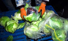 Gömrükdə kələm yükündən narkotik aşkarlanıb