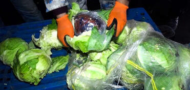 Gömrükdə kələm yükündən narkotik aşkarlanıb