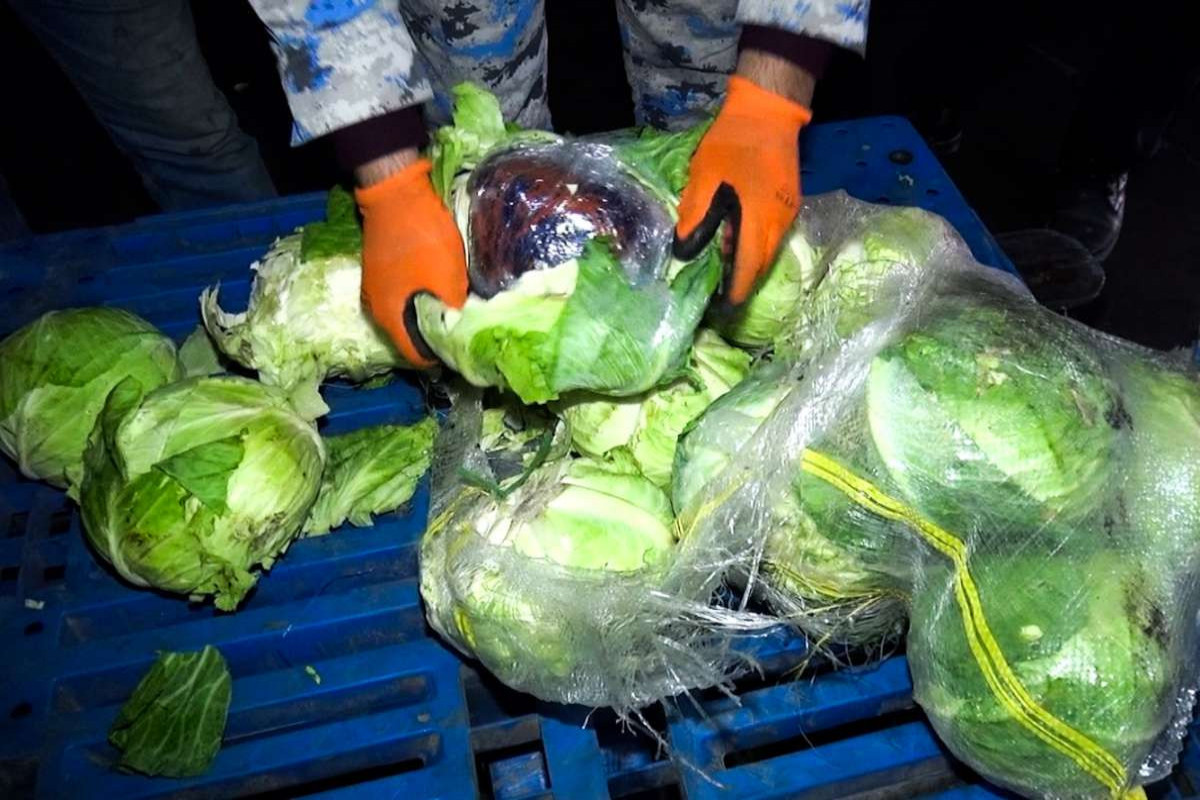 Gömrükdə kələm yükündən narkotik aşkarlanıb