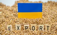 Sibiqa: 2025-ci ildə Ukraynaya məxsus 2 milyon tondan çox taxıl oğurlanıb