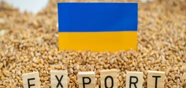 Sibiqa: 2025-ci ildə Ukraynaya məxsus 2 milyon tondan çox taxıl oğurlanıb