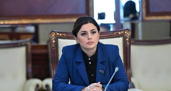 «Независимость Азербайджана завоевана кровью шехидов» - Депутат