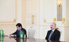 Prezident “Zayed İnsan Qardaşlığı Mükafatı” ilə bağlı nümayəndə heyətini qəbul edib