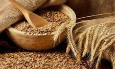 Ötən il Azərbaycana 1.3 mln. tona yaxın buğda idxal edilib