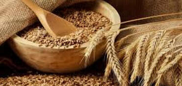 Ötən il Azərbaycana 1.3 mln. tona yaxın buğda idxal edilib