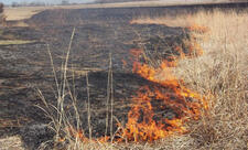 Əkin yerinin yandırılmasına görə yeni cərimələr, inzibati həbs müəyyənləşib