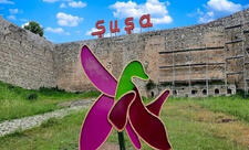 Azad olunmuş ərazilərdə ötən il 191 küçə üzrə 9 153 ünvan təyin edilib