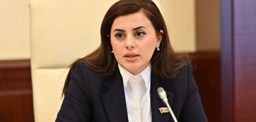 Deputat Pərvanə Vəliyeva Qlobal Koalisiyaya həm-sədr seçilib