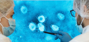 Çində Nipah virusunu zəiflədə bilən dərman tapılıb