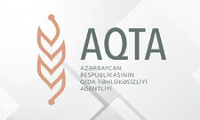 AmCham: AQTA-da təkrar sənəd yoxlanışı idxal və sertifikatlaşdırmanı gecikdirir