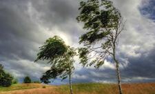 Kəlbəcərdə küləyin sürəti 20 m/s-dək güclənib - FAKTİKİ HAVA