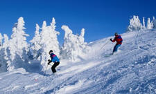 Azərbaycanda qış idman növlərinə maraq artır - ŞƏRH