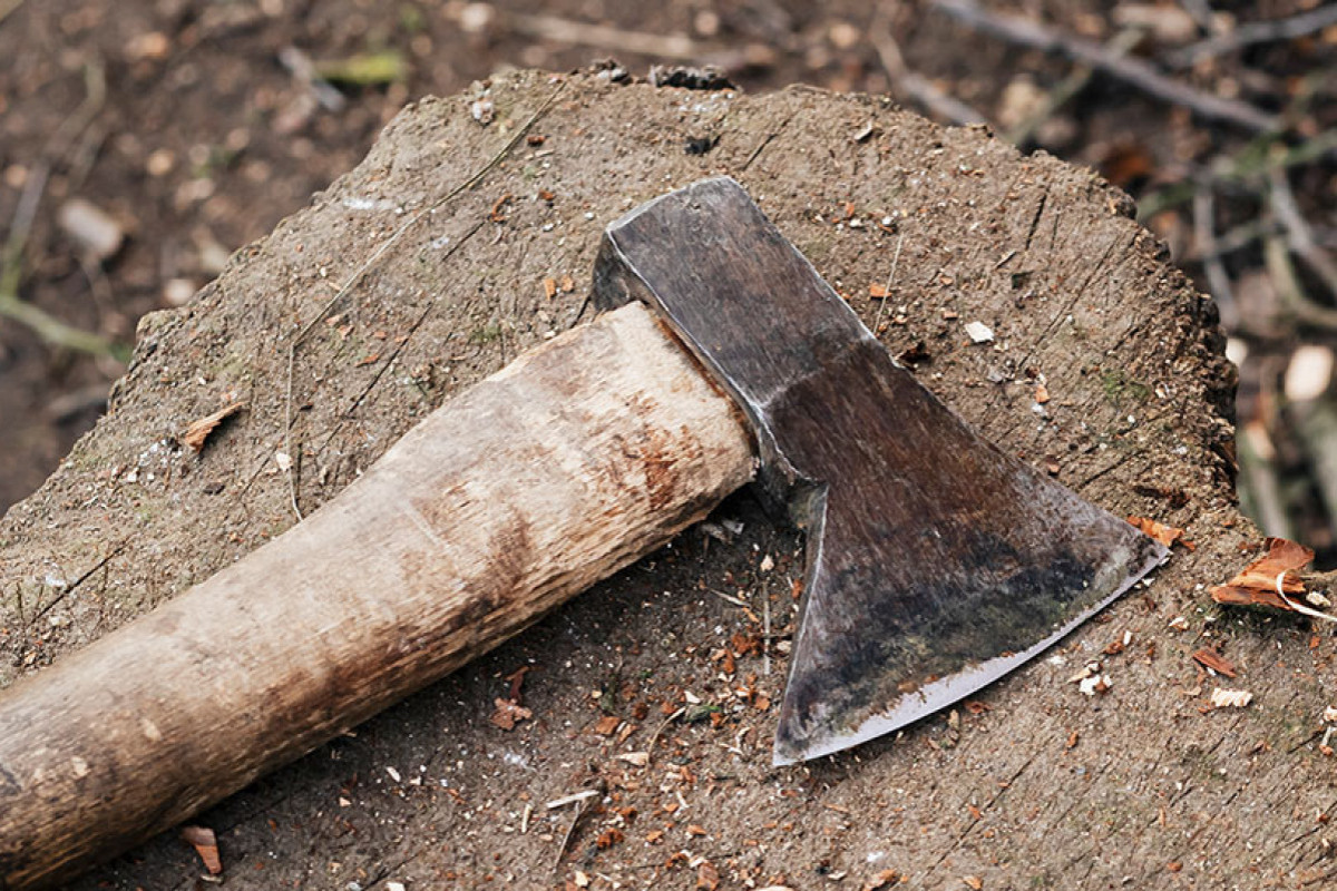 Cəlilabadda əminin qardaşı uşaqlarını baltalaması ilə bağlı cinayət işi başlanıb